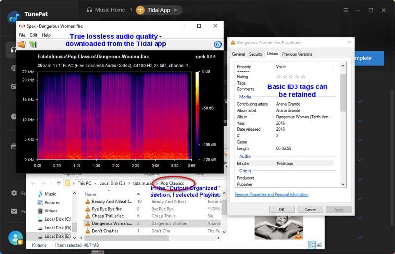 tunepat music one download audio quality tidal flac