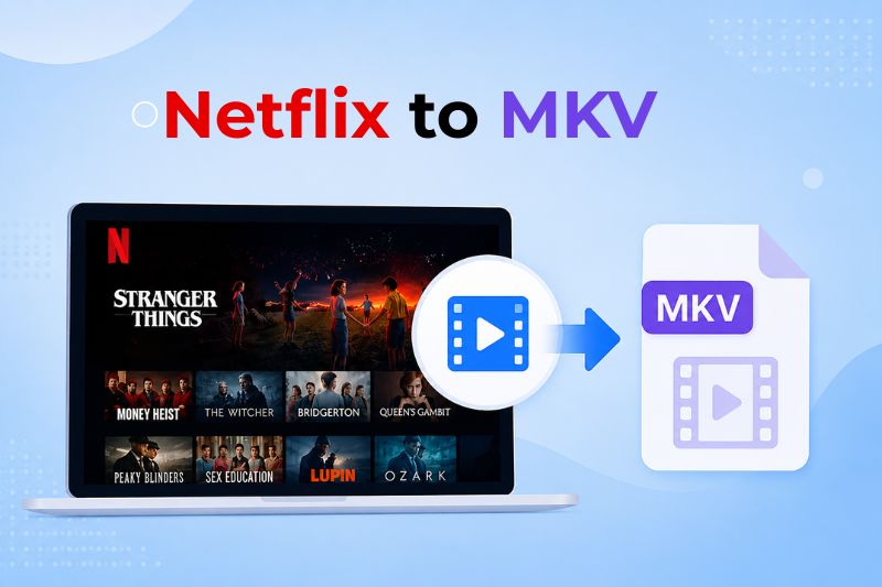 Netflix to MKV