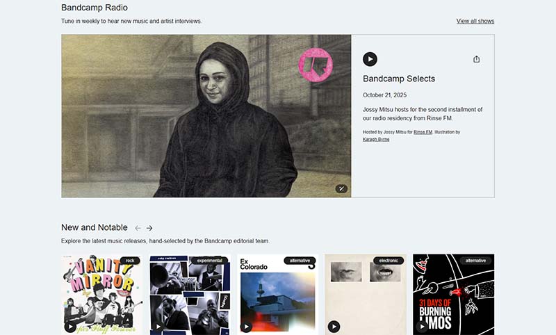 Bandcamp on Chromebook (screenshot)